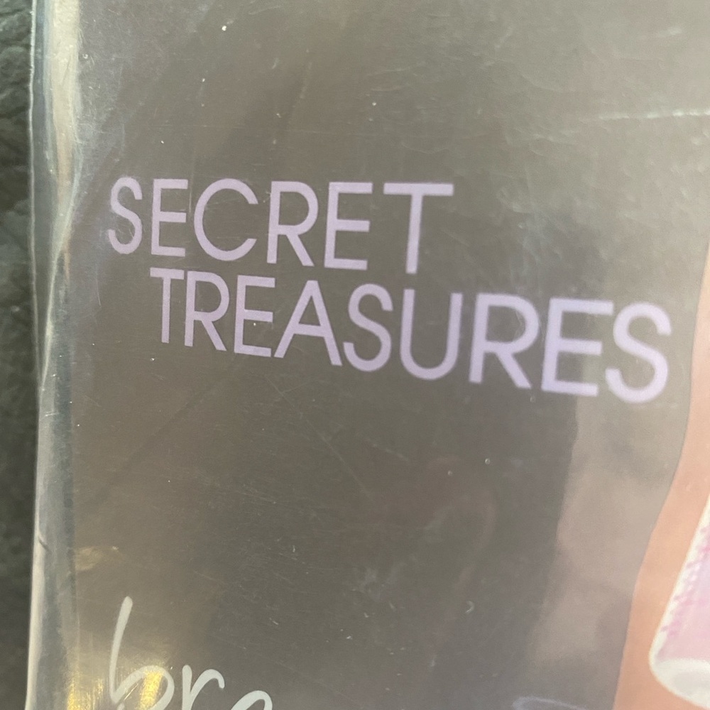 Secret Treasures Purple Bra